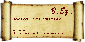 Borsodi Szilveszter névjegykártya