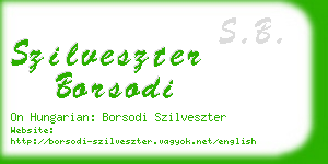 szilveszter borsodi business card